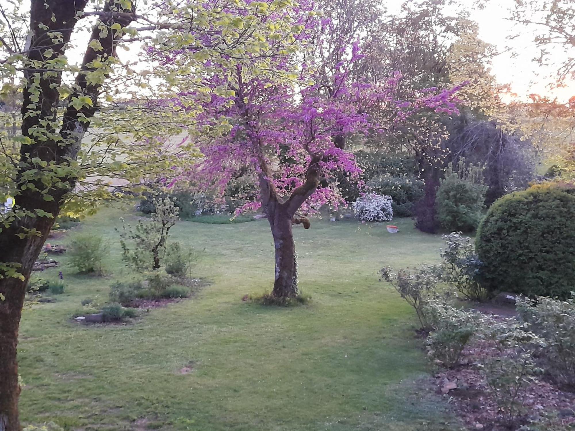 La Causserie, 2 Chambres D'Hotes, 2 A 4 Invites, Pour Vous Seuls Gramat Esterno foto